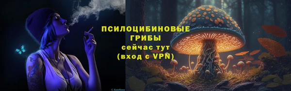 соль ск Армянск