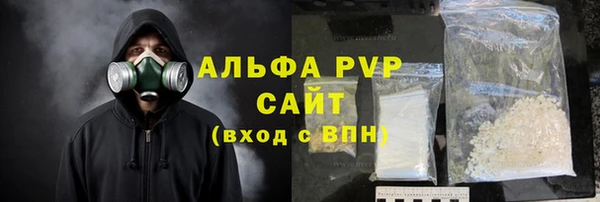 сатива Баксан