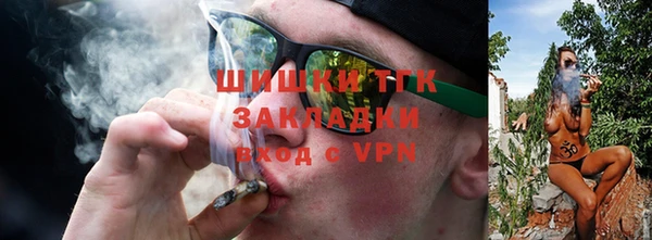 сатива Баксан